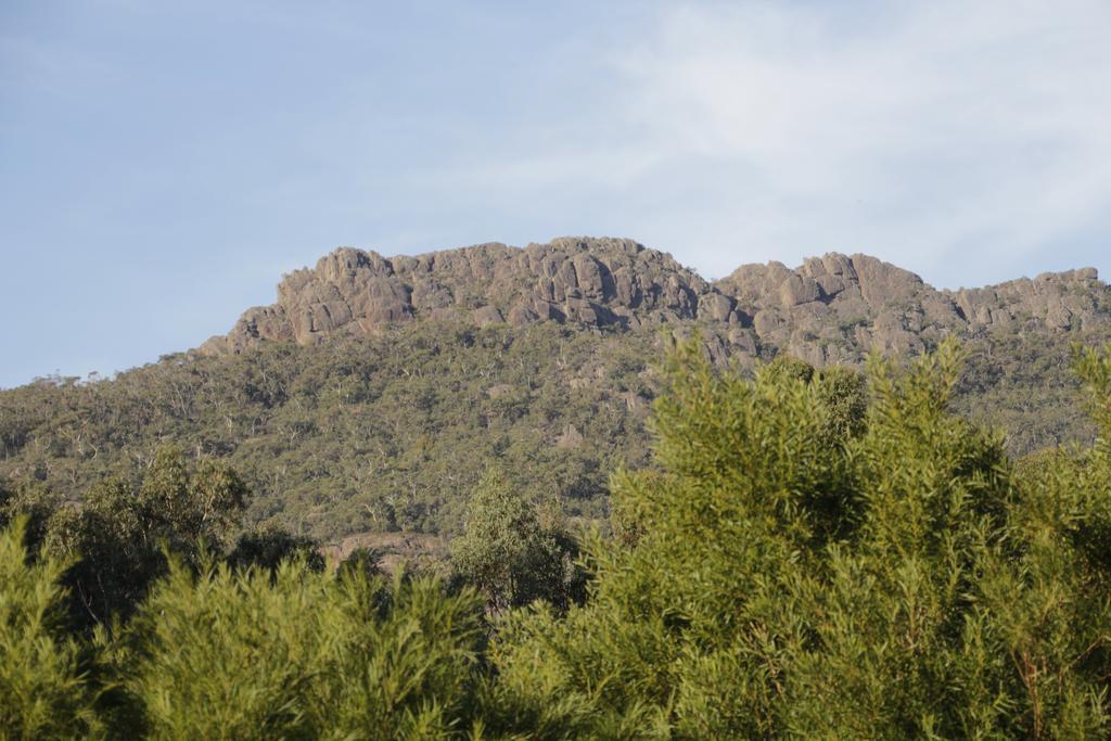 Villa Dacelo Halls Gap Exterior foto