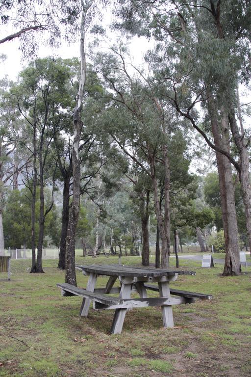 Villa Dacelo Halls Gap Exterior foto